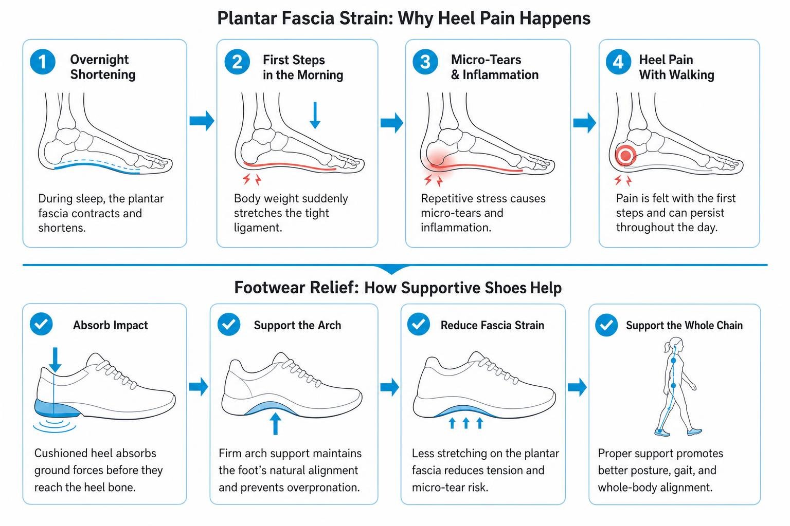 biomechanics of plantar fascia strain and footwear relief biomechanics of plantar fascia strain and footwear relief