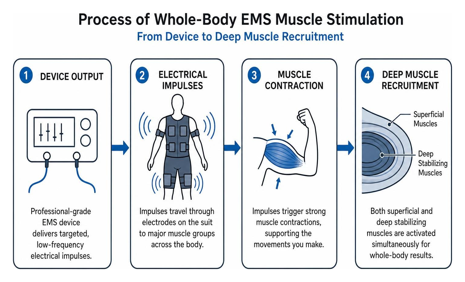 Process of whole-body EMS muscle stimulation from device to deep muscle recruitment