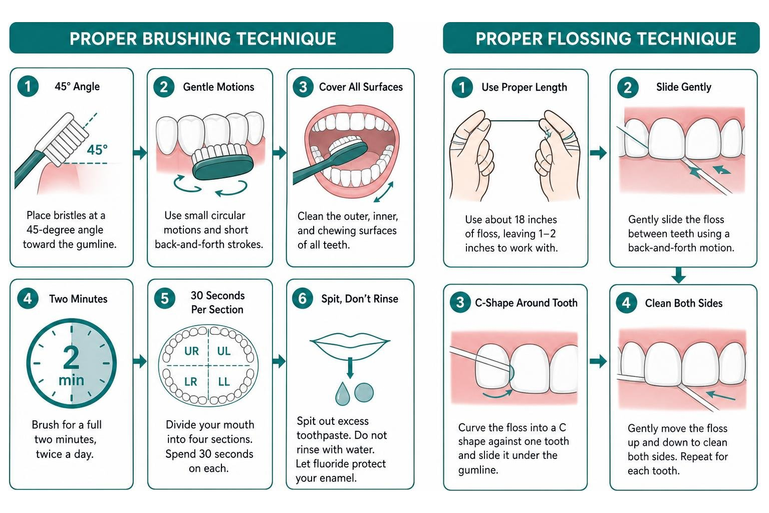 proper brushing and flossing techniques diagram