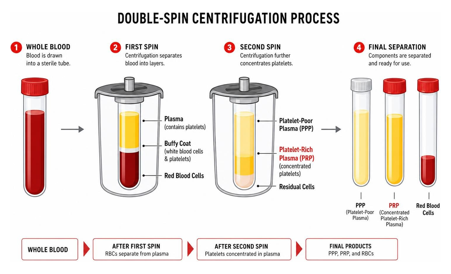 A diagram showing the double-spin centrifugation process separating blood into red blood cells, PPP, and concentrated PRP A diagram showing the double-spin centrifugation process separating blood into red blood cells, PPP, and concentrated PRP