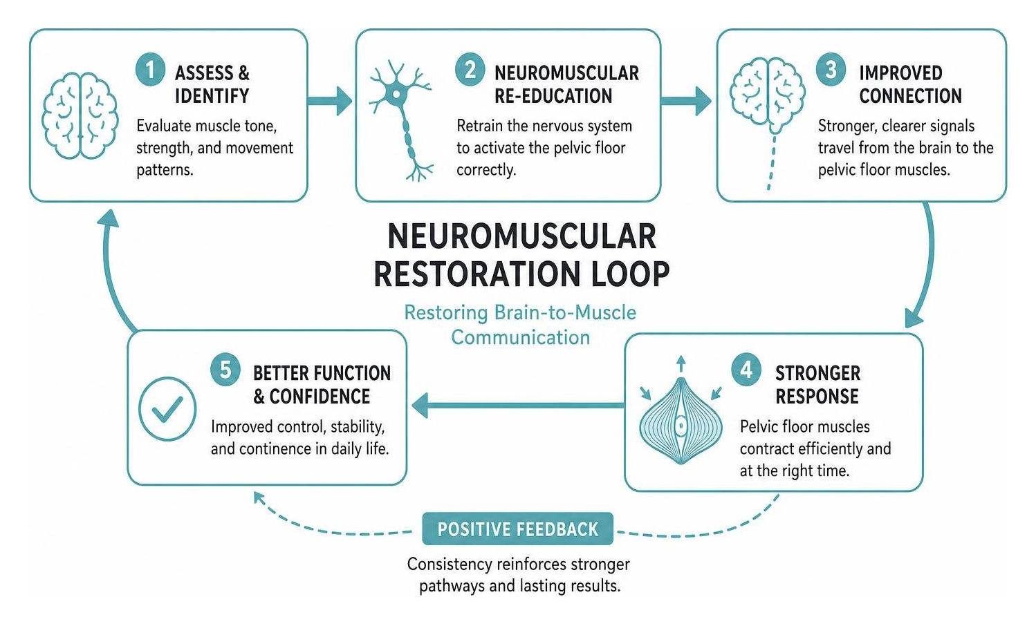 Diagram showing the feedback loop of neuromuscular restoration, illustrating how brain-to-muscle communication is restored Diagram showing the feedback loop of neuromuscular restoration, illustrating how brain-to-muscle communication is restored
