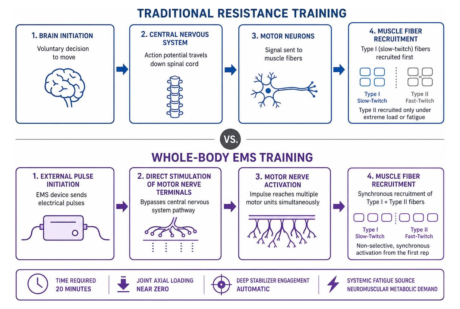 Comparison of neuromuscular activation pathways between traditional lifting and whole-body EMS
