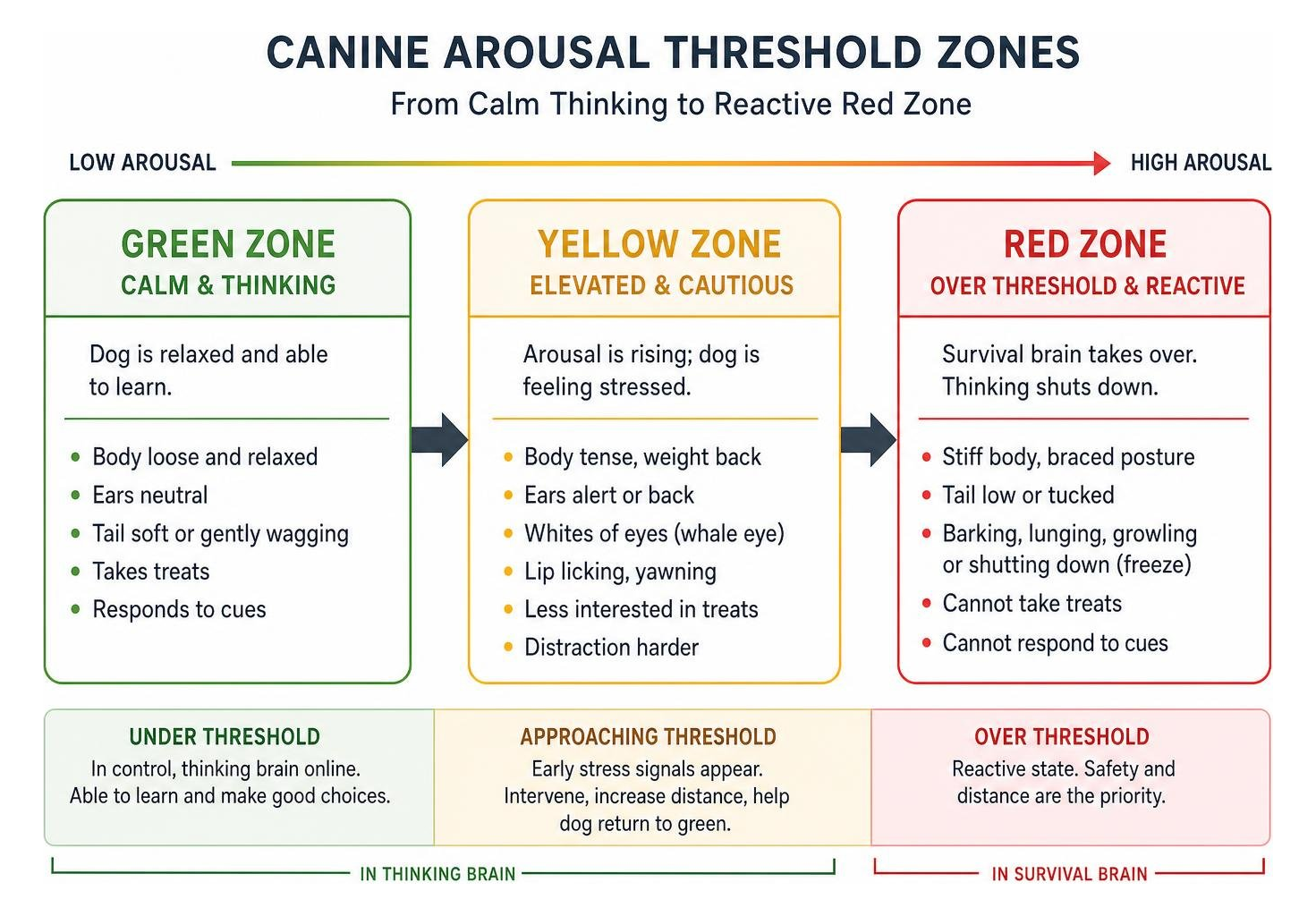 Canine arousal threshold zones from calm thinking to reactive red zone Canine arousal threshold zones from calm thinking to reactive red zone