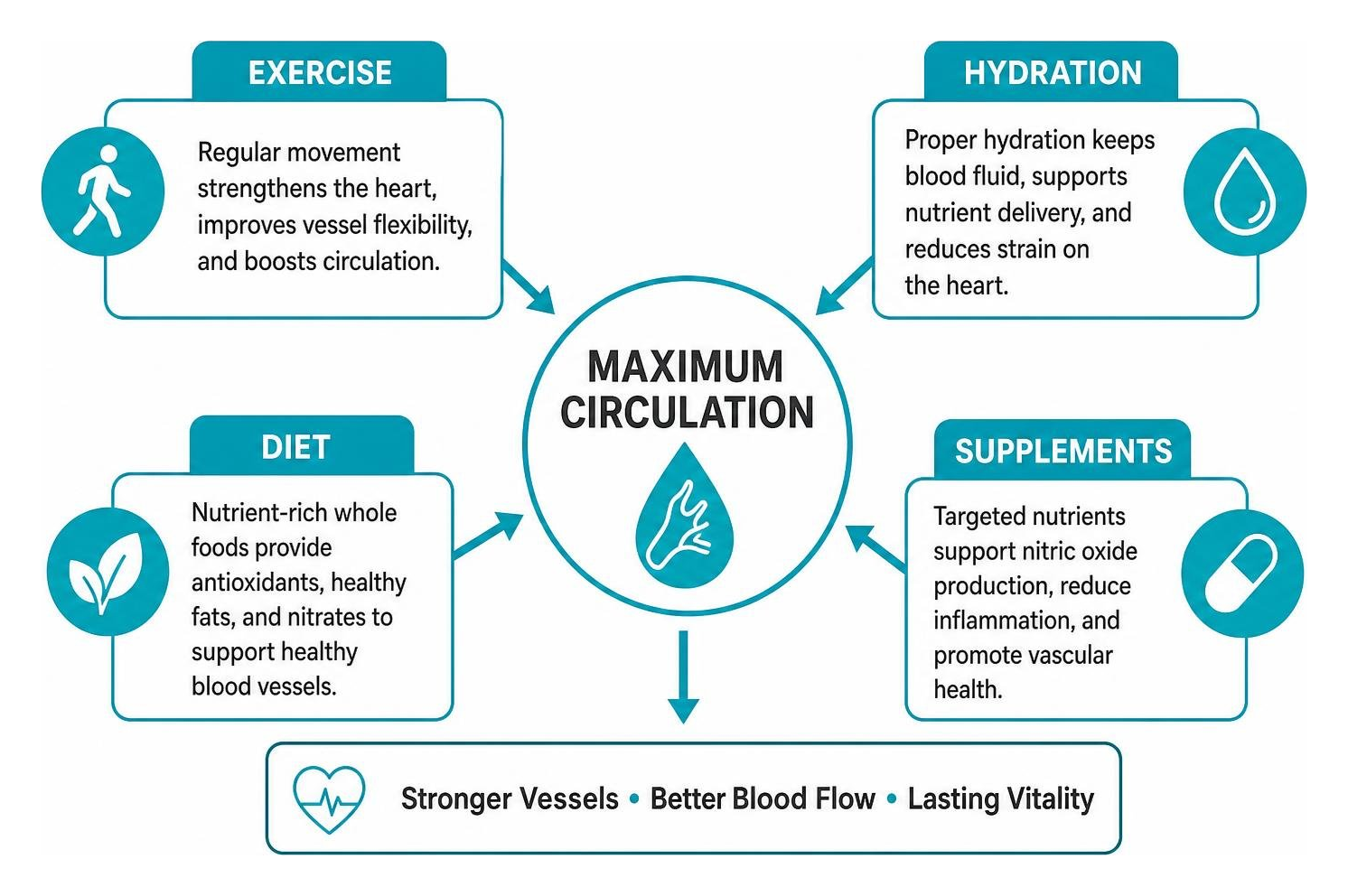 Synergistic framework: combining exercise, hydration, diet, and supplements for maximum circulation