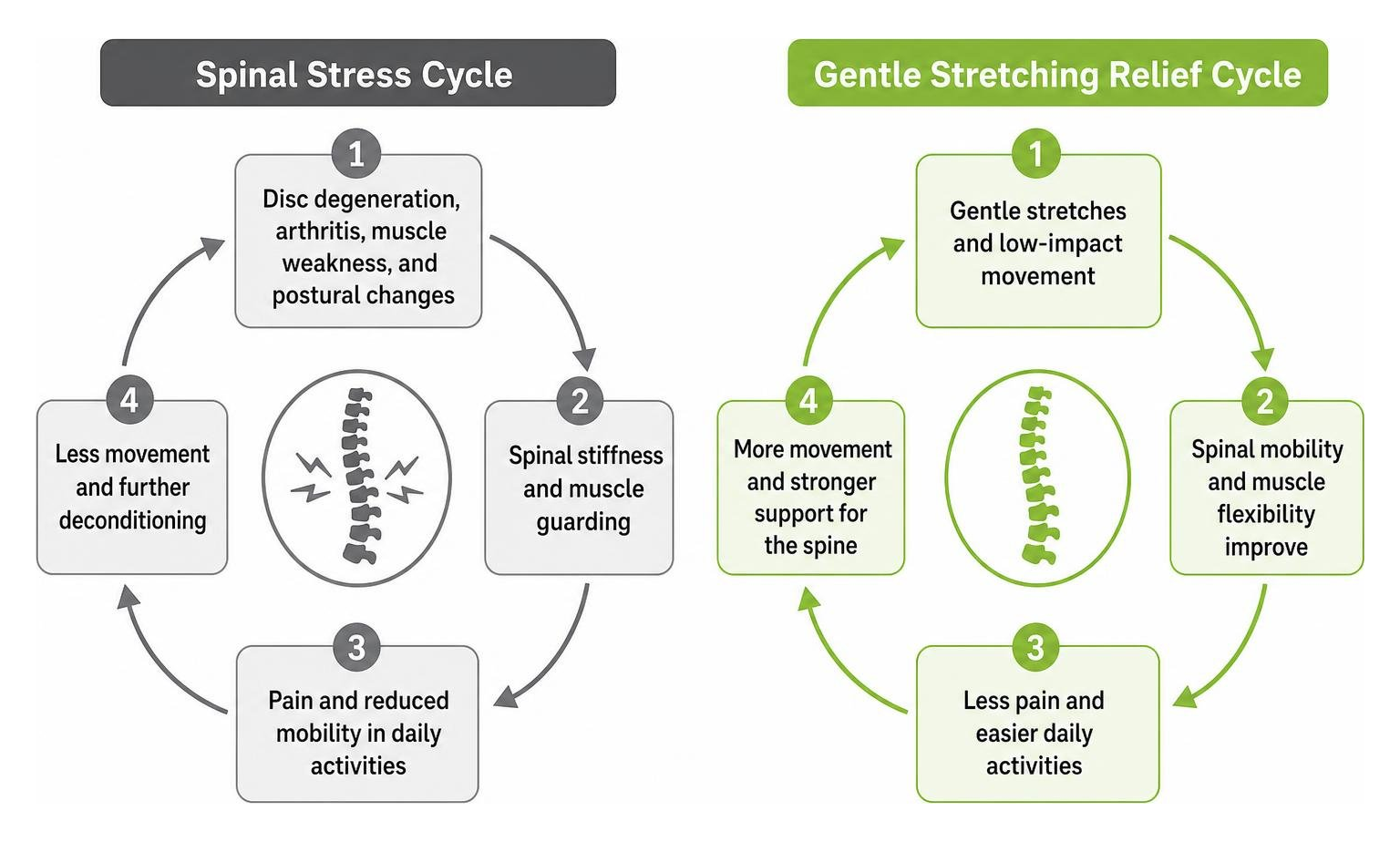 Spinal stress cycle vs gentle stretching relief cycle