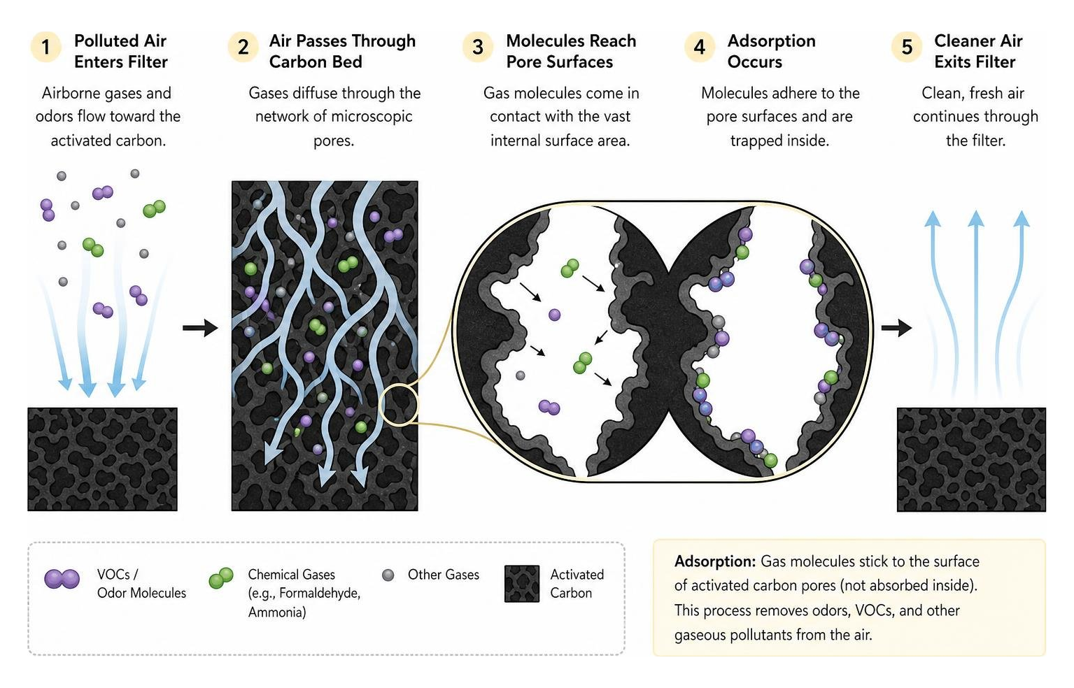 Diagram showing molecular gas adsorption process inside activated carbon filter pores Diagram showing molecular gas adsorption process inside activated carbon filter pores