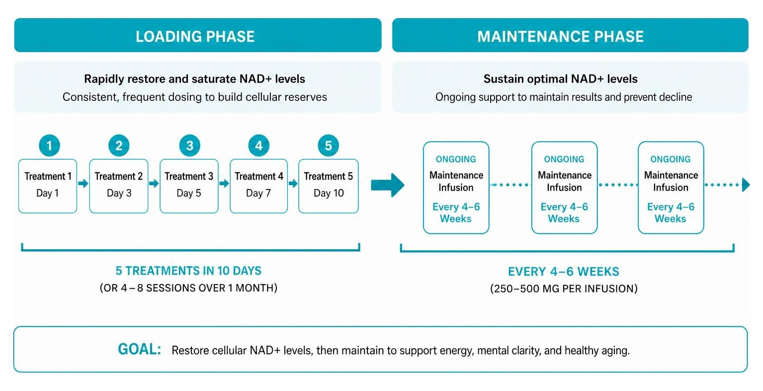 NAD+ IV therapy protocol timeline showing loading phase vs maintenance phase