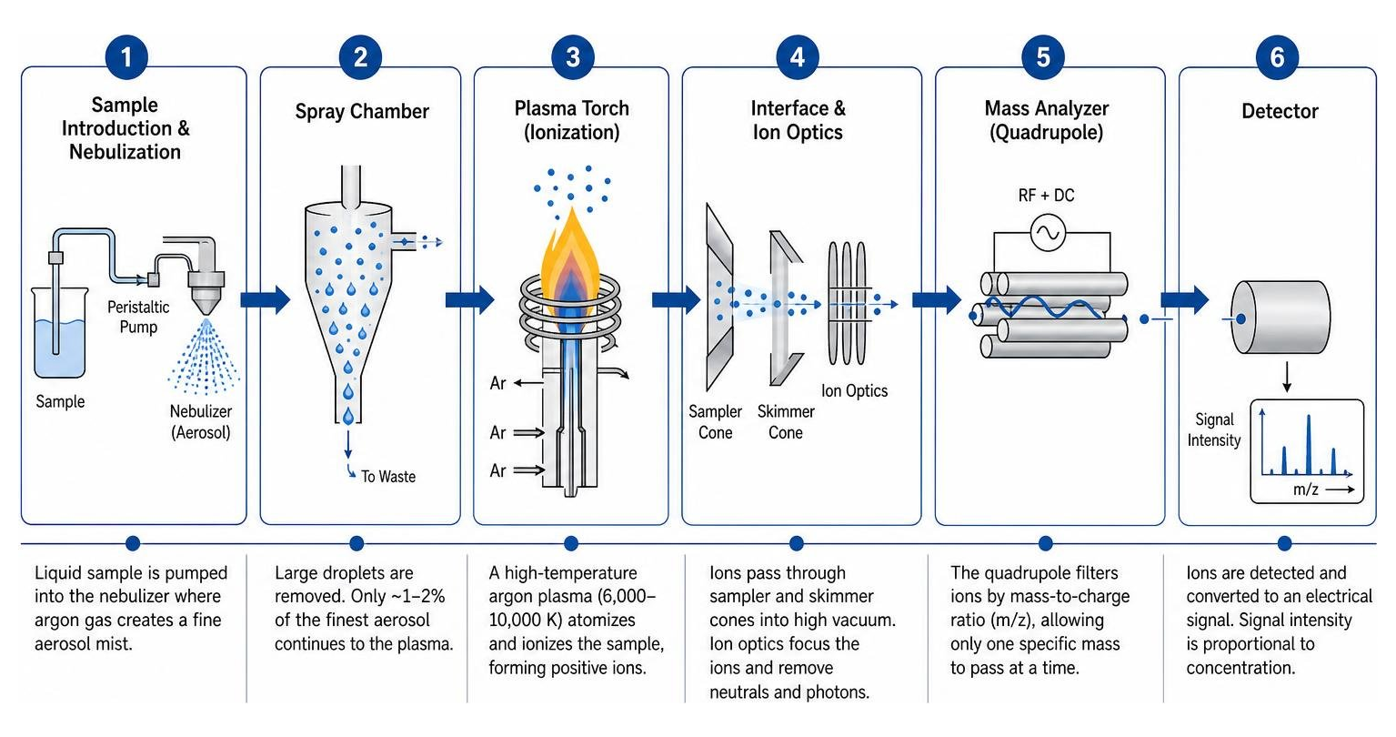 The step-by-step path of an analyte from liquid sample to mass detector The step-by-step path of an analyte from liquid sample to mass detector