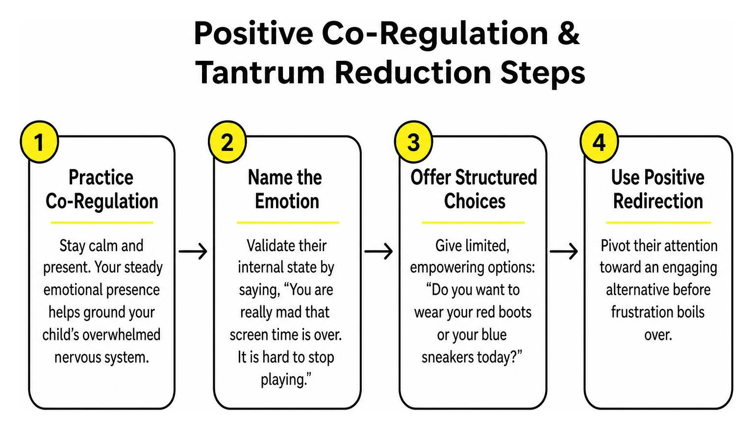 Diagram of positive co-regulation and tantrum reduction steps