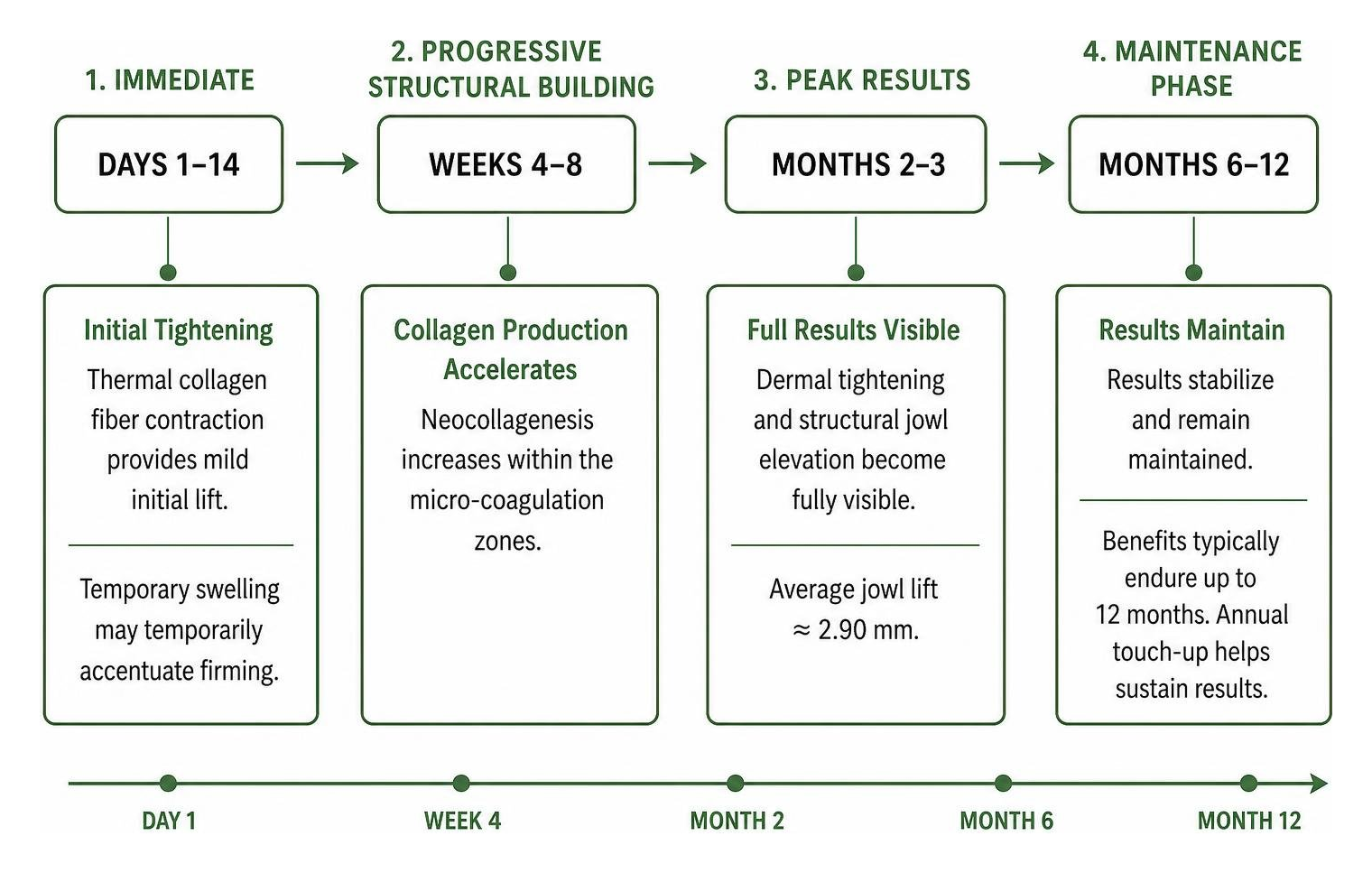 Timeline diagram of HIFU jowl lift collagen production and visible results over 12 months Timeline diagram of HIFU jowl lift collagen production and visible results over 12 months