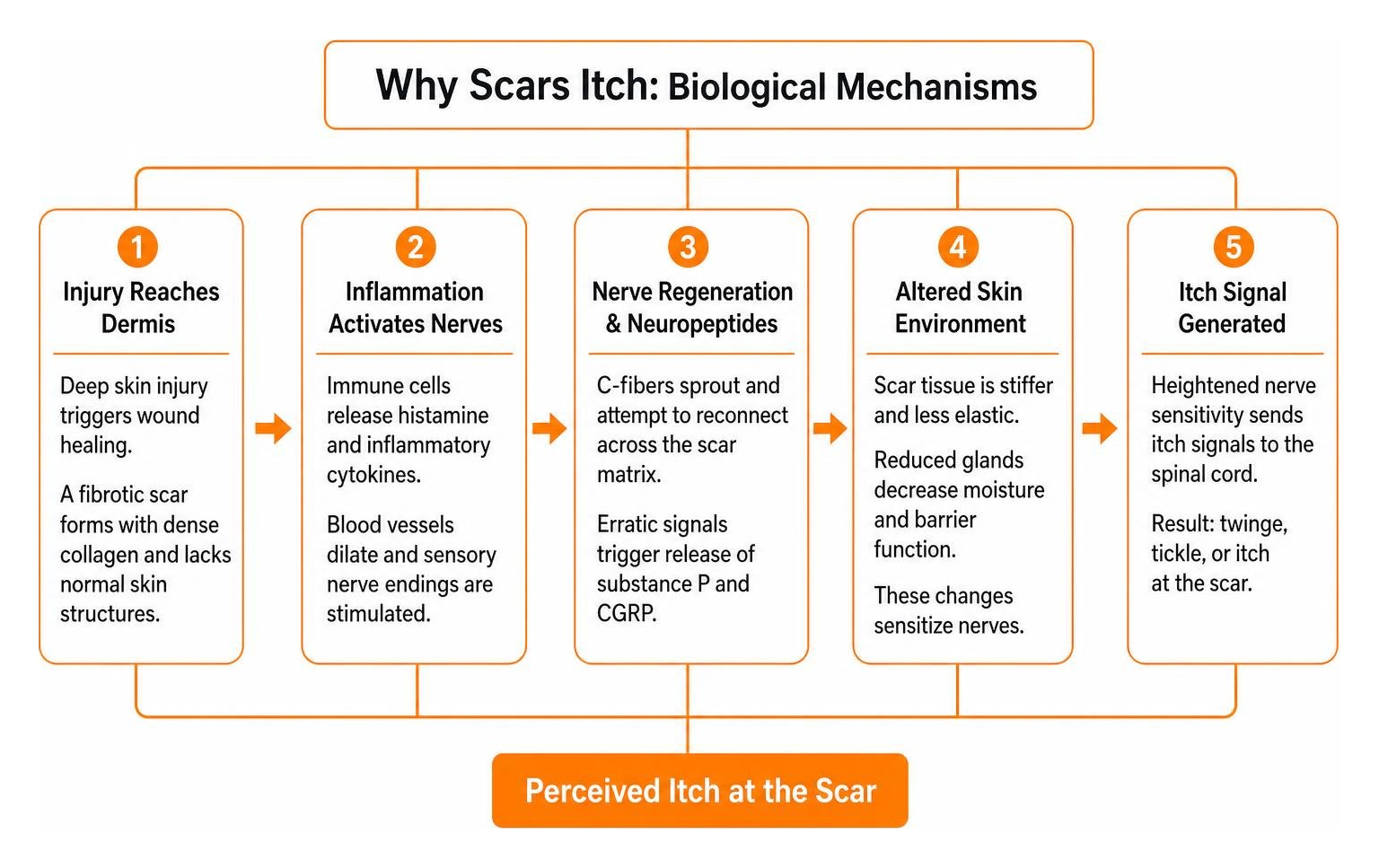 Person scratching an itchy healing scar on their arm