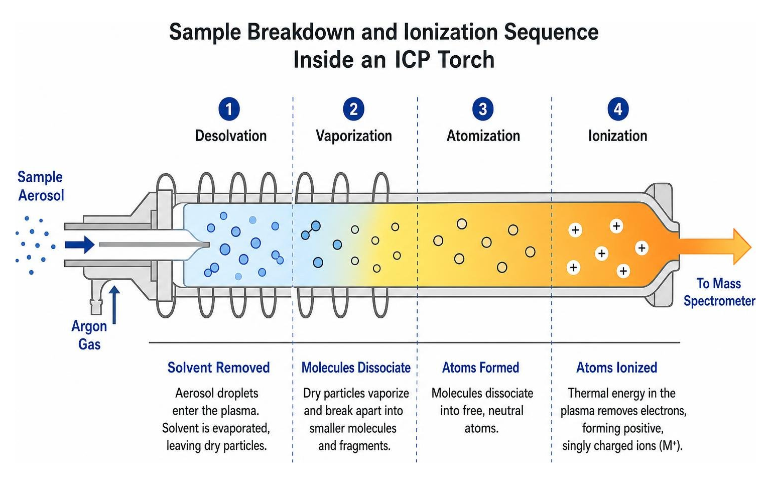 Sample breakdown and ionization sequence inside an ICP torch Sample breakdown and ionization sequence inside an ICP torch