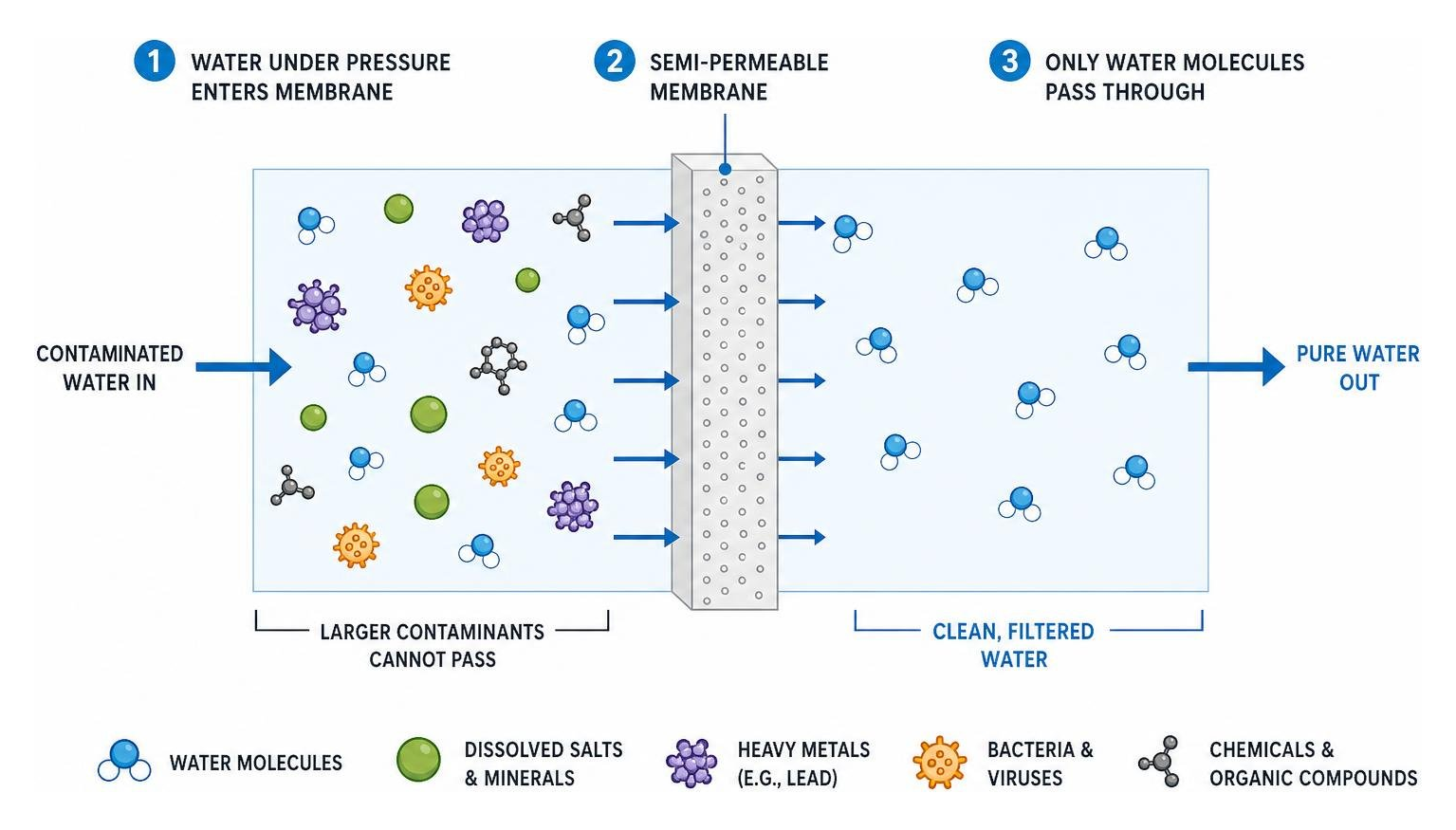 Diagram illustrating the molecular filtration process of a semi-permeable membrane