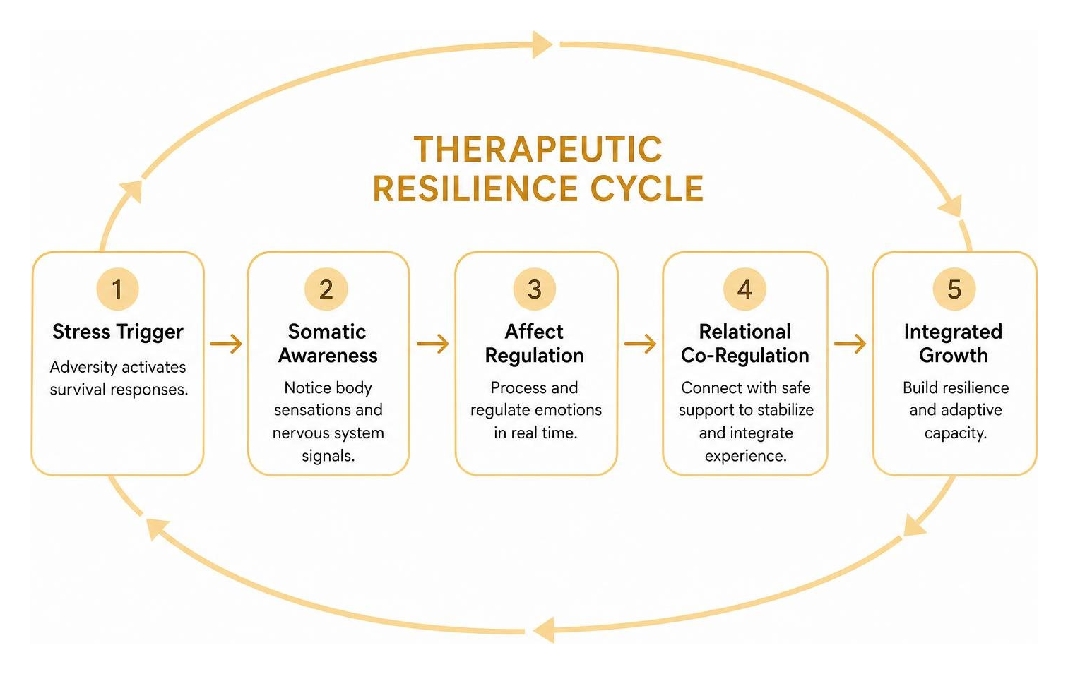 Minimalistic diagram of the therapeutic resilience cycle with warm yellow and amber accents Minimalistic diagram of the therapeutic resilience cycle with warm yellow and amber accents