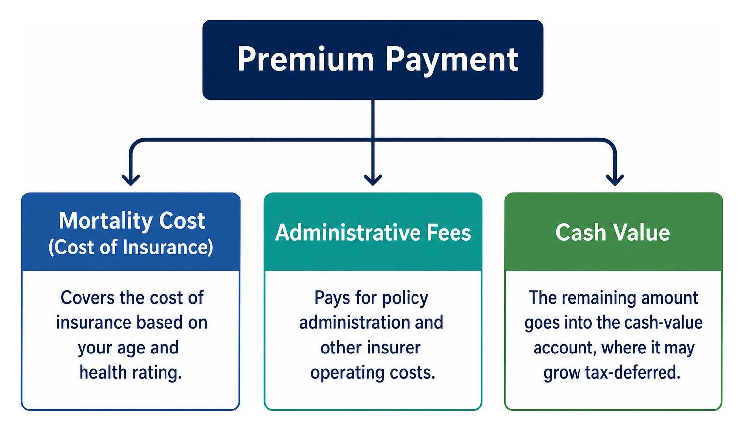 Premium allocation breakdown: mortality cost, administrative fees, and cash value
