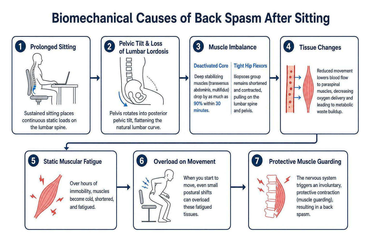 Biomechanical causes of sitting back pain diagram Biomechanical causes of sitting back pain diagram