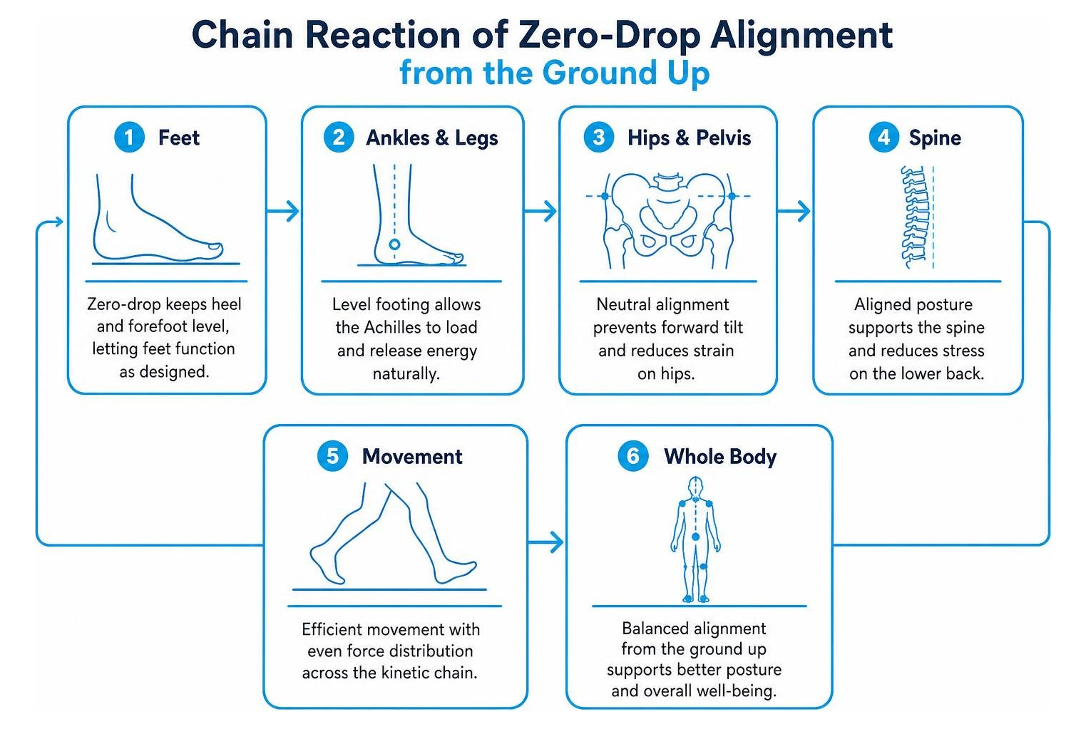 Chain reaction of zero-drop alignment through the body