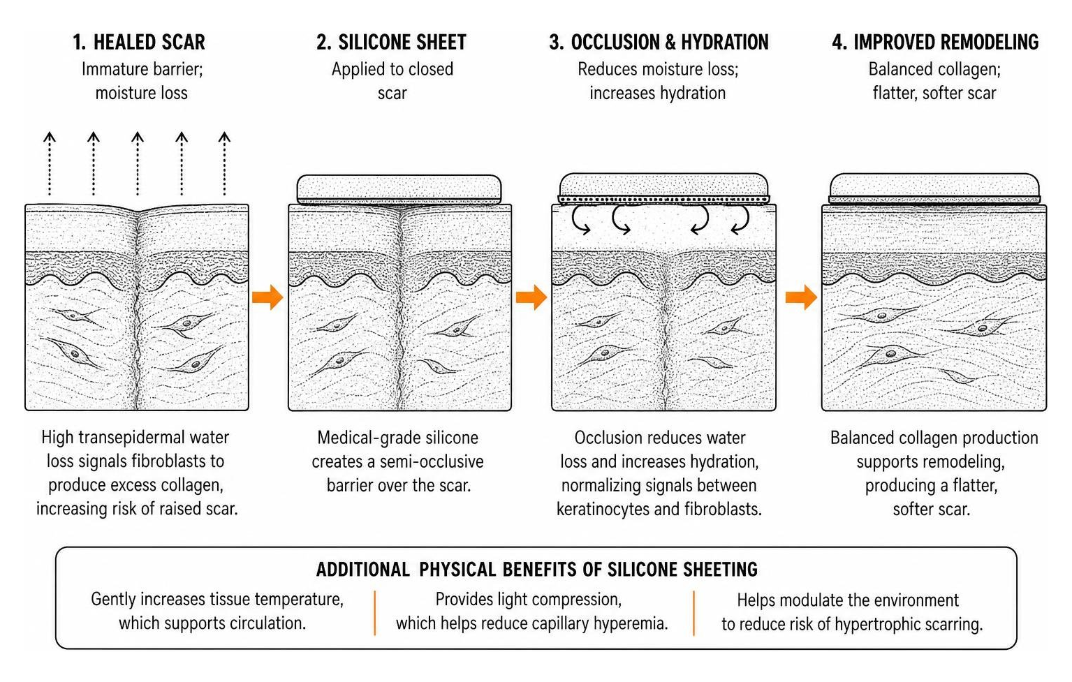 silicone sheet occlusion and hydration over scar tissue