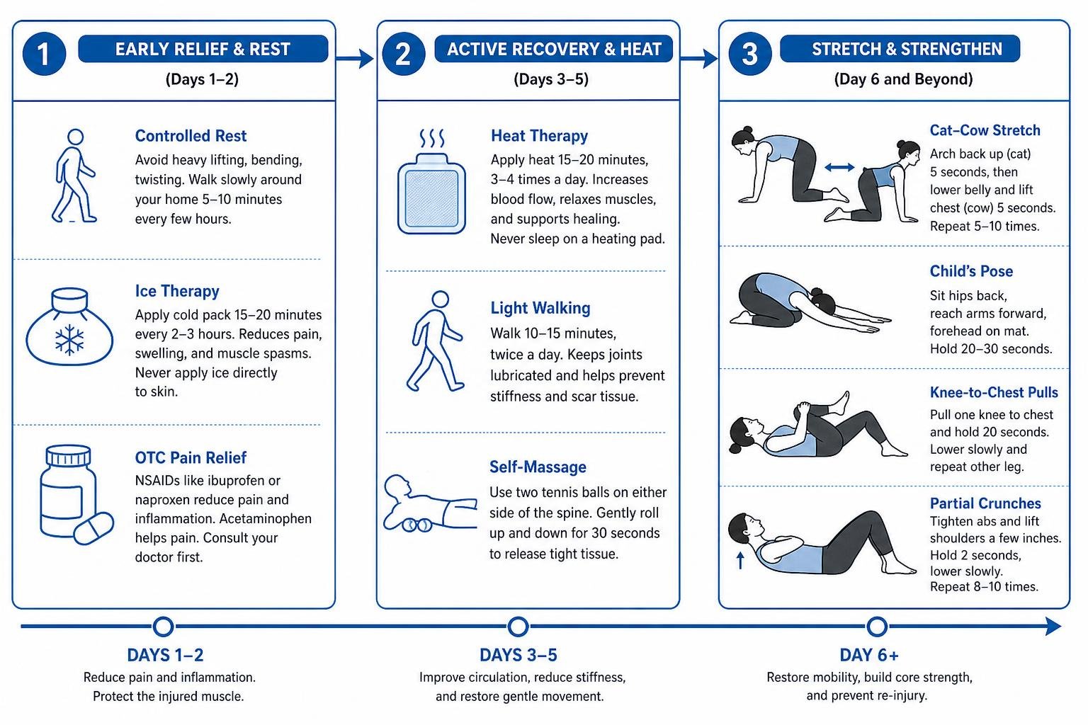 gentle rehabilitative exercises for back muscle recovery