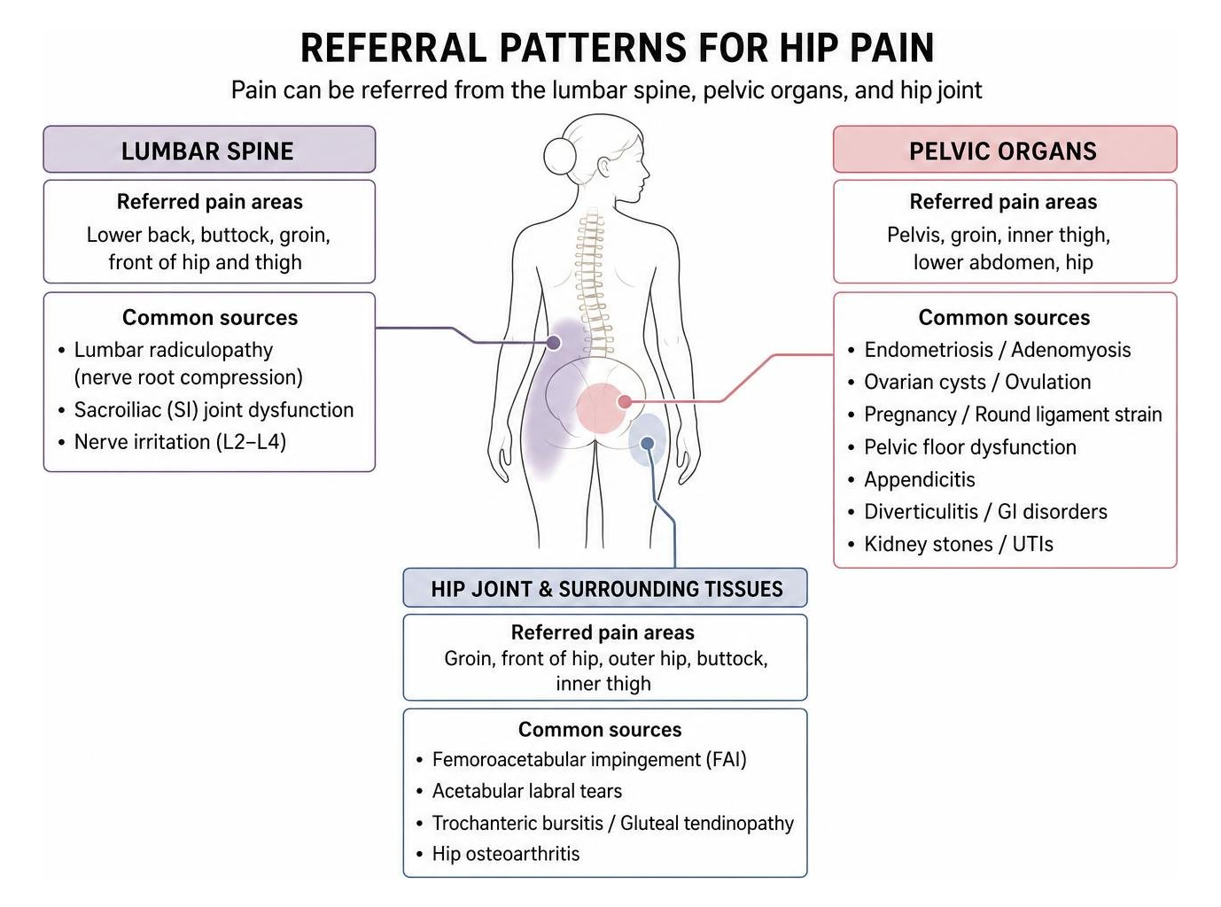 Diagram showing referral patterns from lumbar spine, pelvic organs, and hip joint