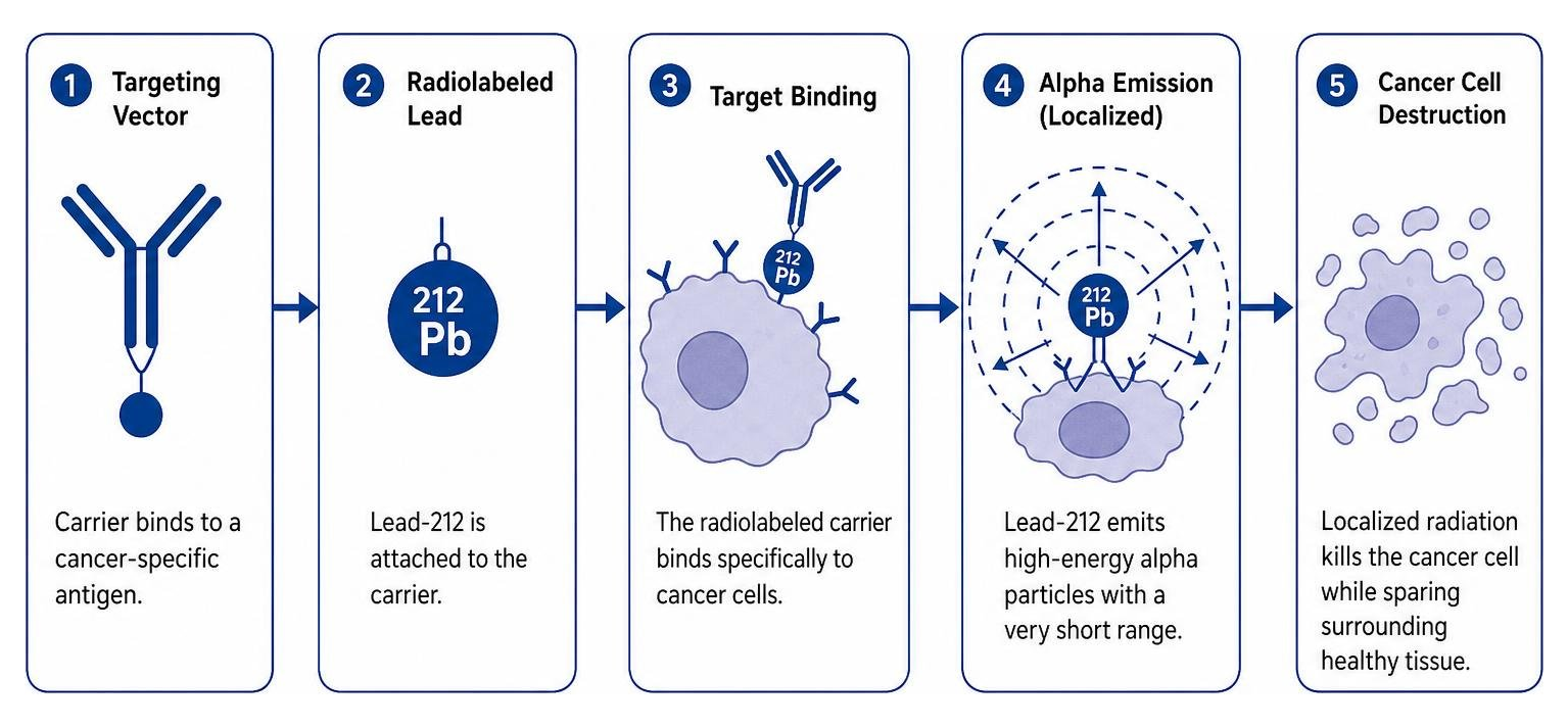 Targeted alpha therapy mechanism delivering localized radiation to cancer cells Targeted alpha therapy mechanism delivering localized radiation to cancer cells