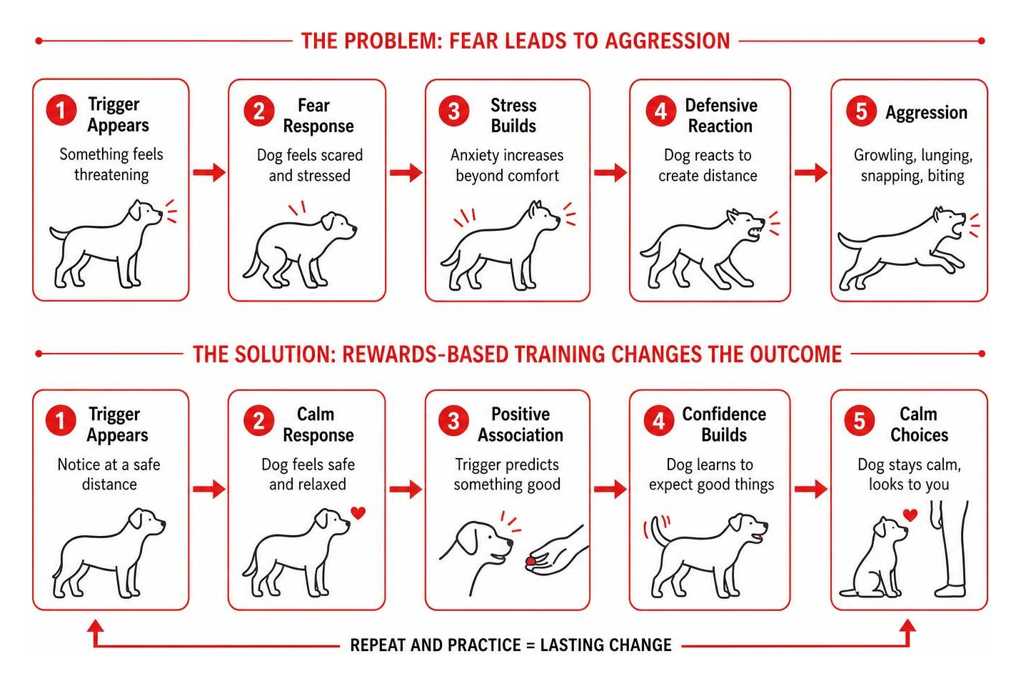 Cause and effect chain showing how fear leads to aggression and how rewards-based training resolves it Cause and effect chain showing how fear leads to aggression and how rewards-based training resolves it
