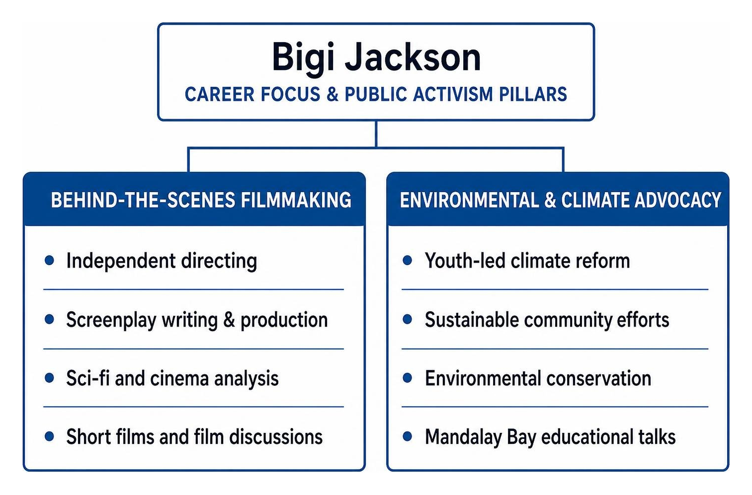 Bigi Jackson career focus and public activism pillars