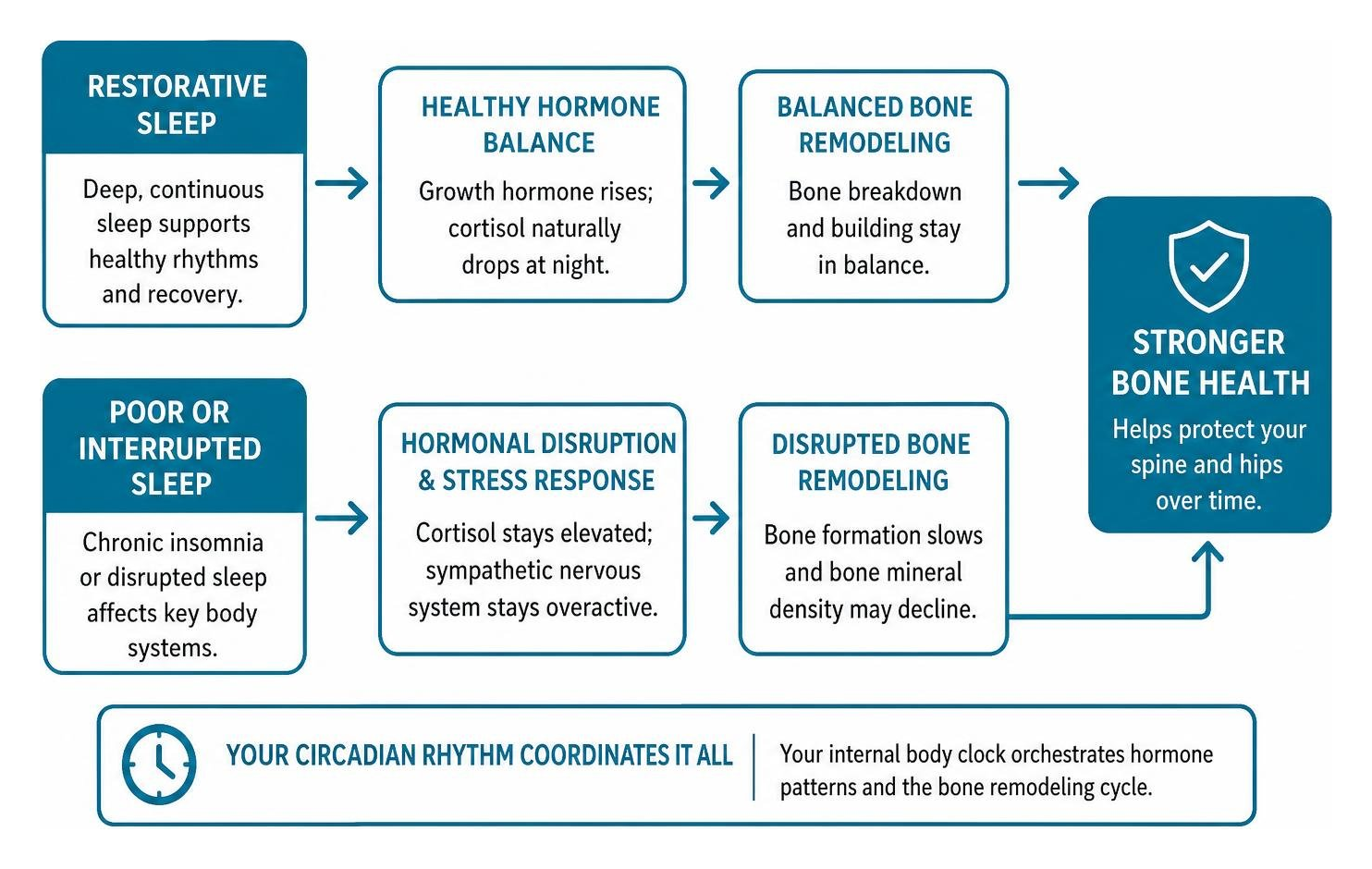 Flow chart contrasting restorative sleep, which supports hormone balance and bone remodeling, with poor sleep, which disrupts both Flow chart contrasting restorative sleep, which supports hormone balance and bone remodeling, with poor sleep, which disrupts both