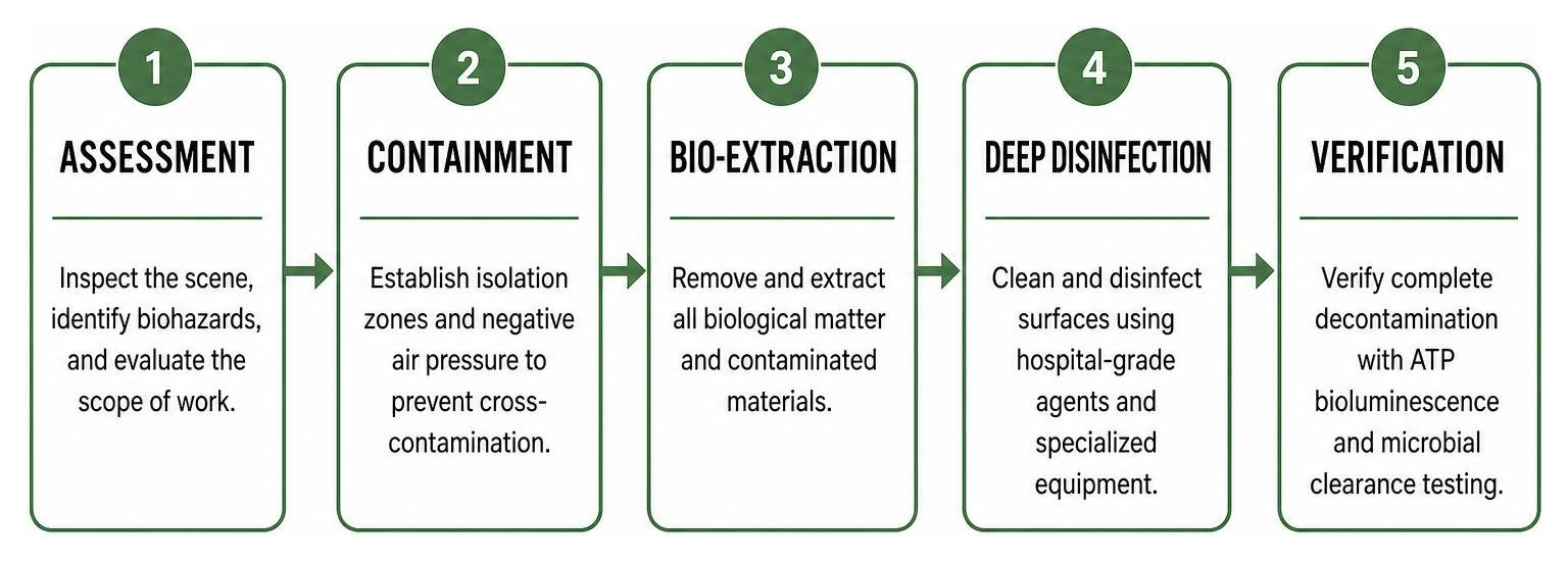 Biohazard remediation workflow: Assessment, Containment, Bio-Extraction, Deep Disinfection, Verification Biohazard remediation workflow: Assessment, Containment, Bio-Extraction, Deep Disinfection, Verification