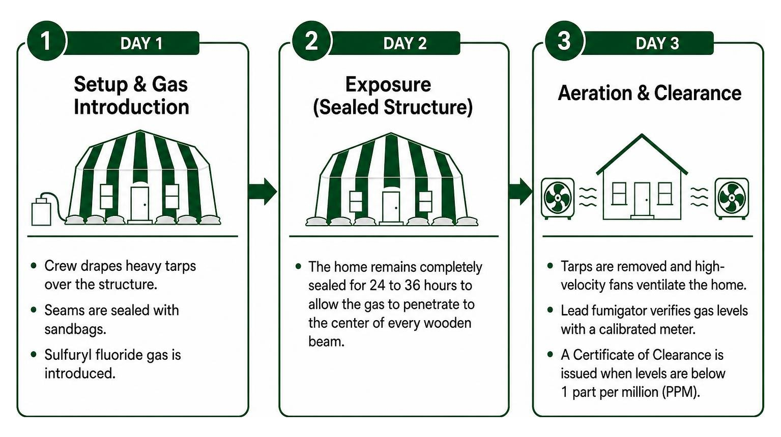 diagram of the step-by-step termite tenting process