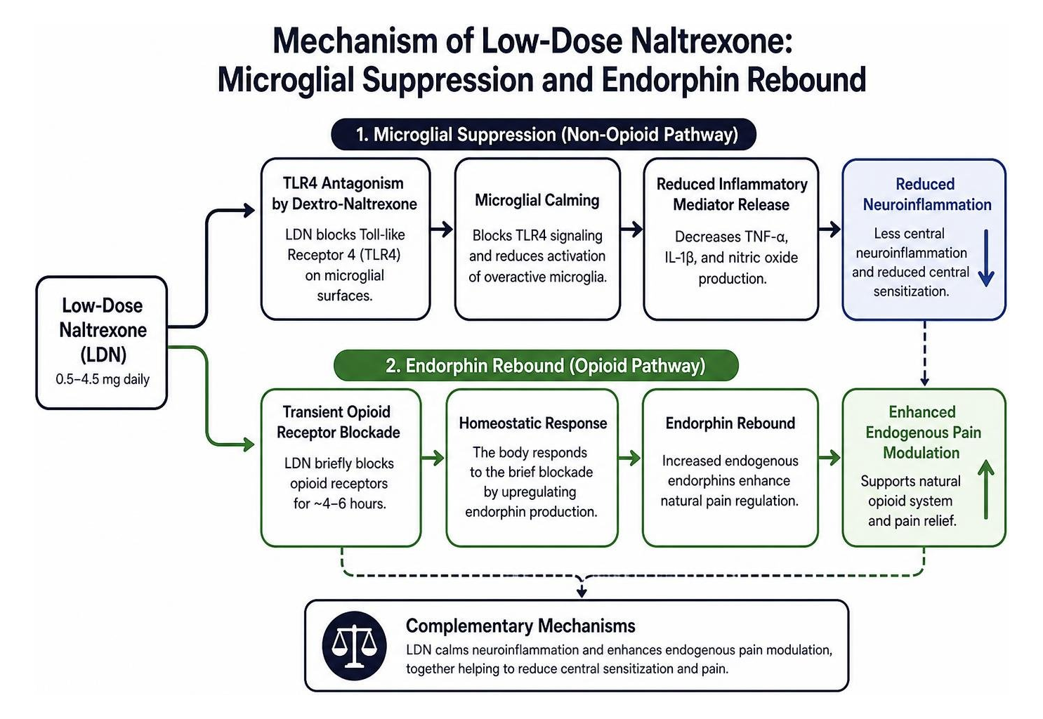 Mechanism of low-dose naltrexone microglial suppression and endorphin rebound