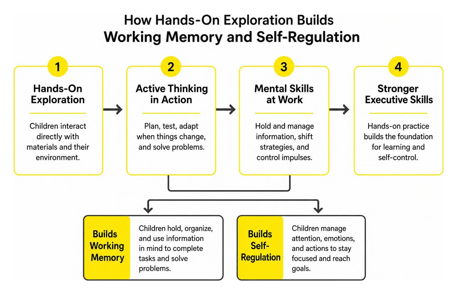 Diagram showing how hands-on exploration builds working memory and self-regulation