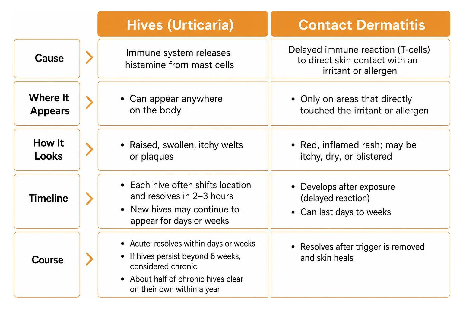 Comparison diagram of hives versus contact dermatitis timeline and symptoms Comparison diagram of hives versus contact dermatitis timeline and symptoms
