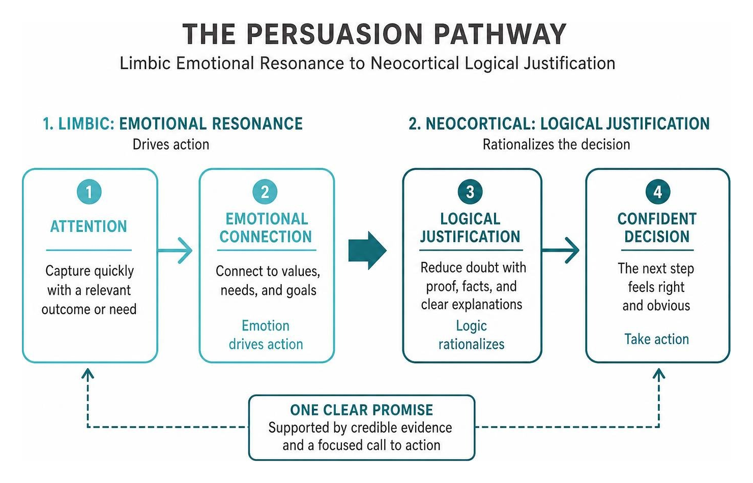 The persuasion pathway: limbic emotional resonance to neocortical logical justification