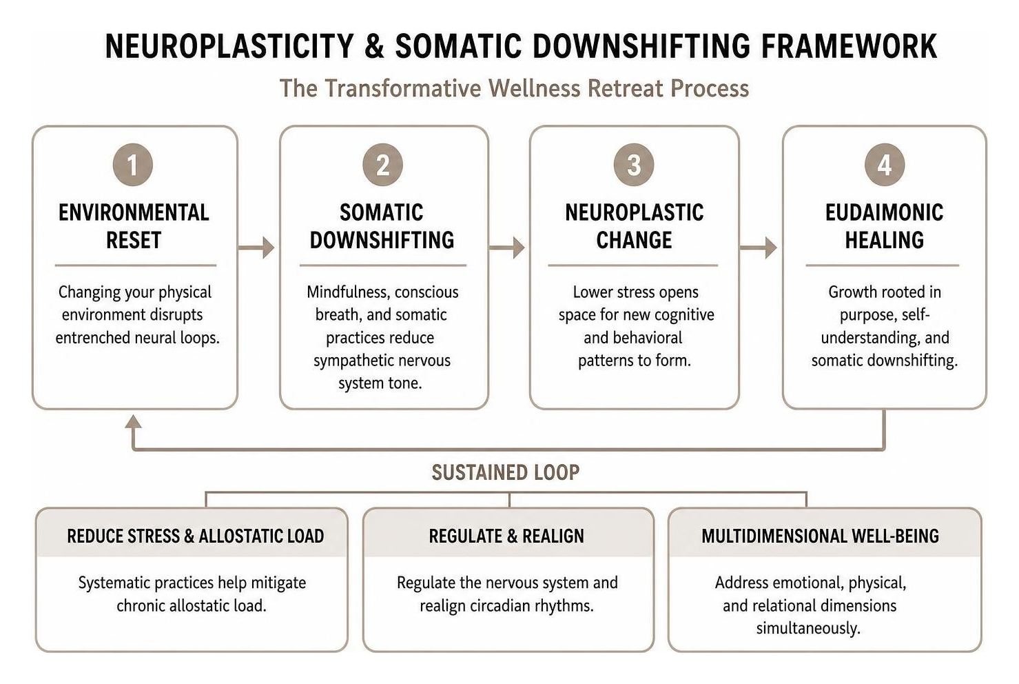 neuroplasticity and somatic downshifting framework neuroplasticity and somatic downshifting framework