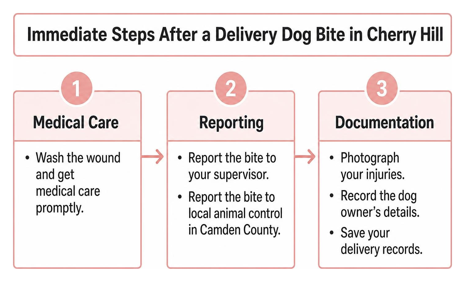 Immediate steps after a delivery dog bite in Cherry Hill: medical care, reporting, and documentation Immediate steps after a delivery dog bite in Cherry Hill: medical care, reporting, and documentation