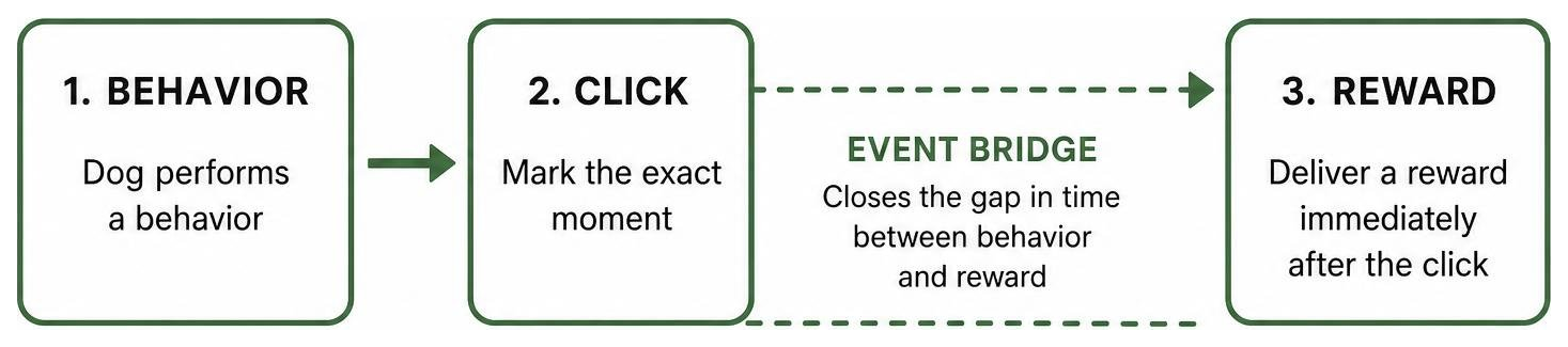 Diagram showing event bridge between behavior click and reward delivery Diagram showing event bridge between behavior click and reward delivery