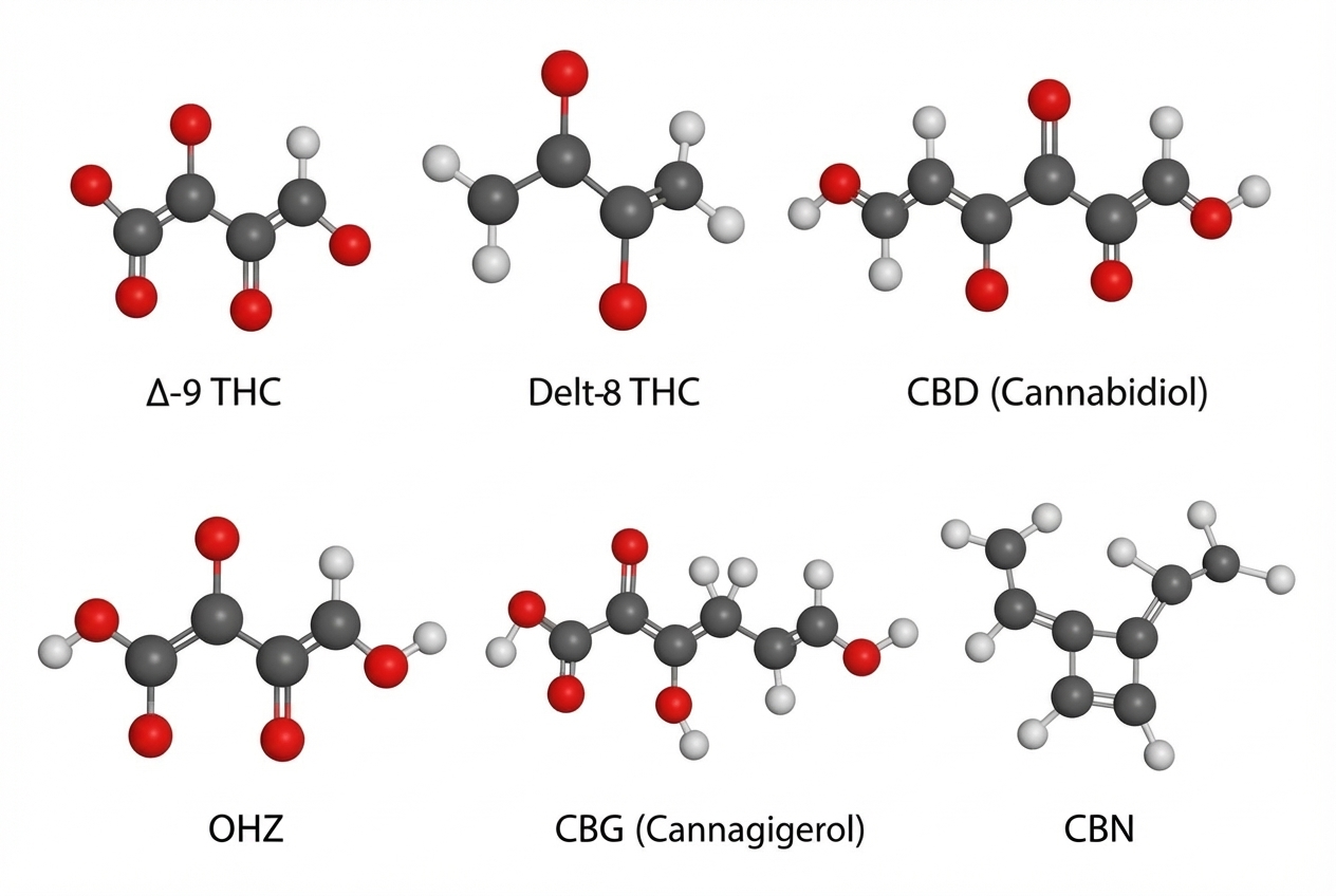 different cannabinoid molecular structures - best legal edibles