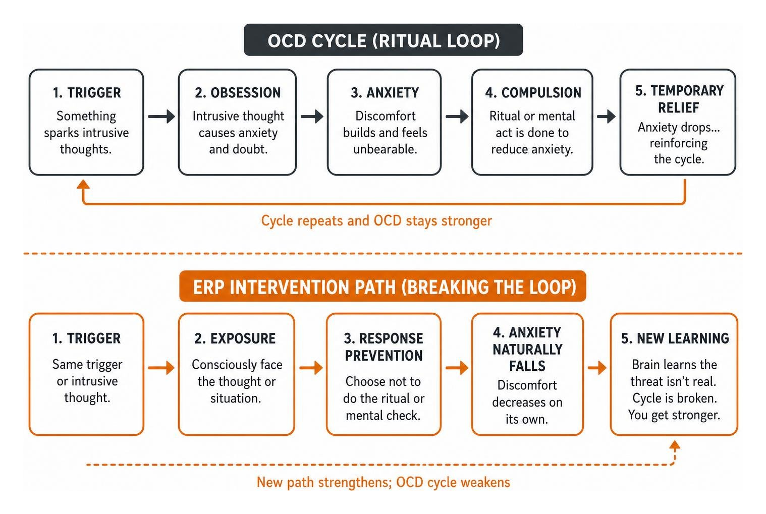 Diagram showing the OCD cycle vs the ERP intervention path breaking the ritual loop Diagram showing the OCD cycle vs the ERP intervention path breaking the ritual loop