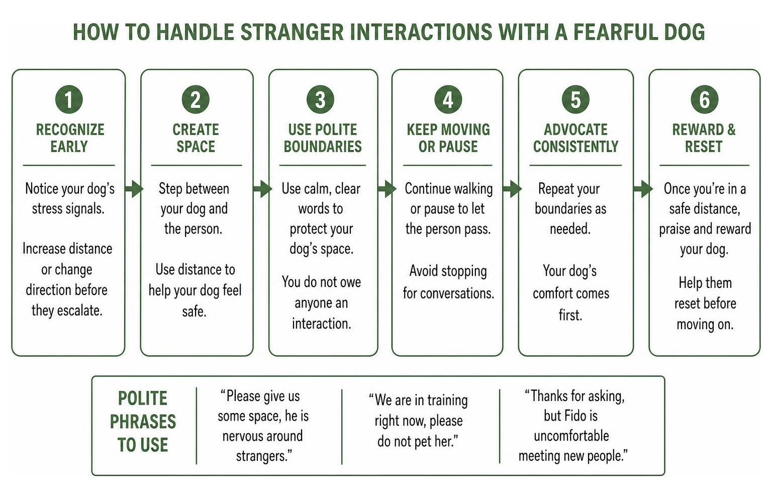 How to handle stranger interactions with a fearful dog How to handle stranger interactions with a fearful dog