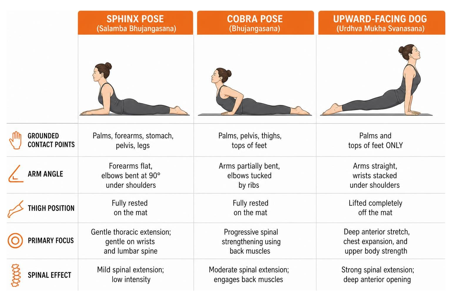 Comparison diagram of Sphinx, Cobra, and Upward-Facing Dog poses