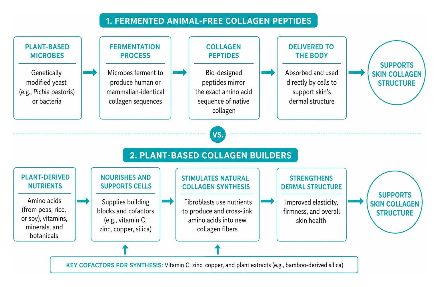 Fermentation vs botanical collagen builder production pathways