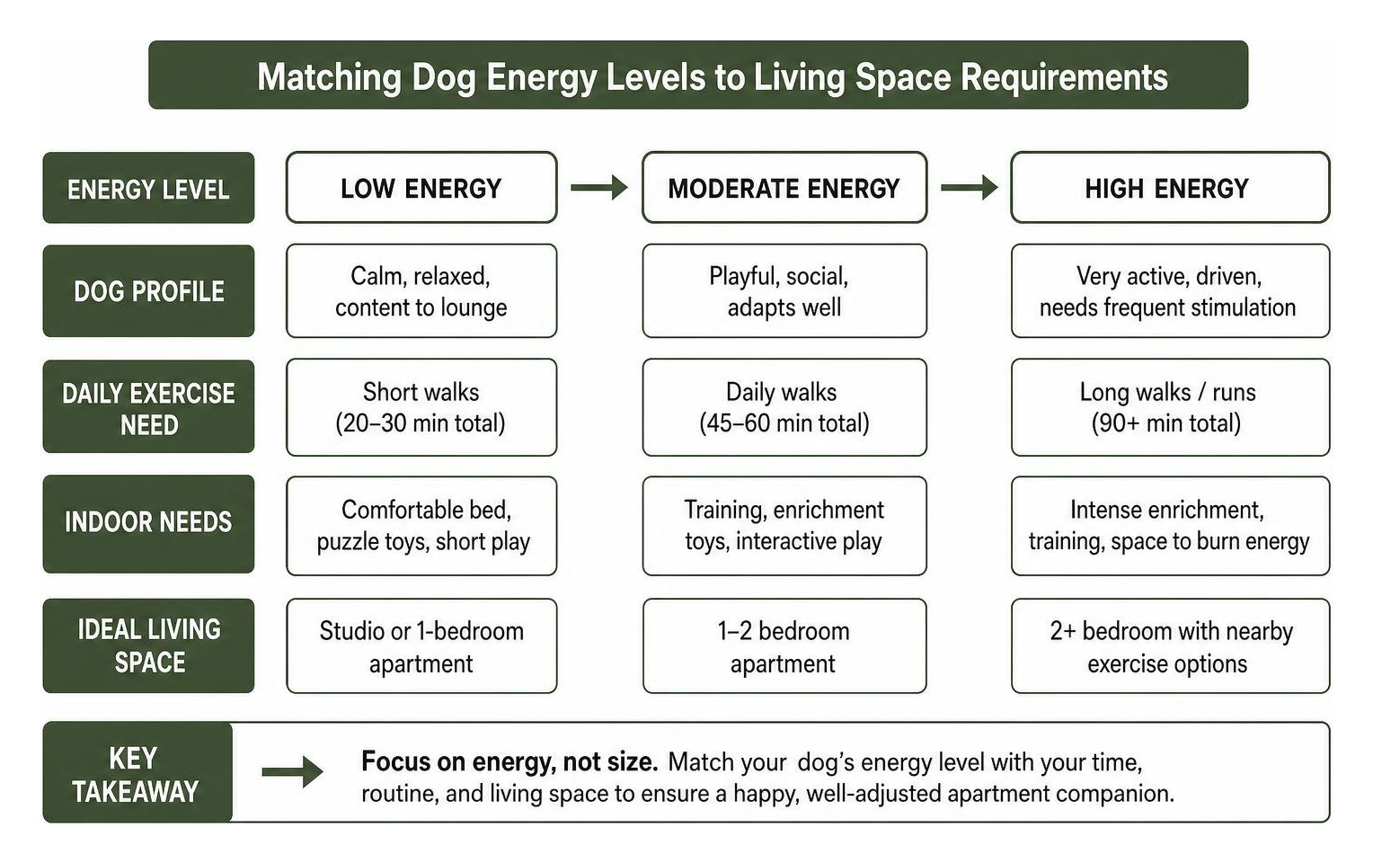 Comparison framework matching dog energy levels to living space requirements