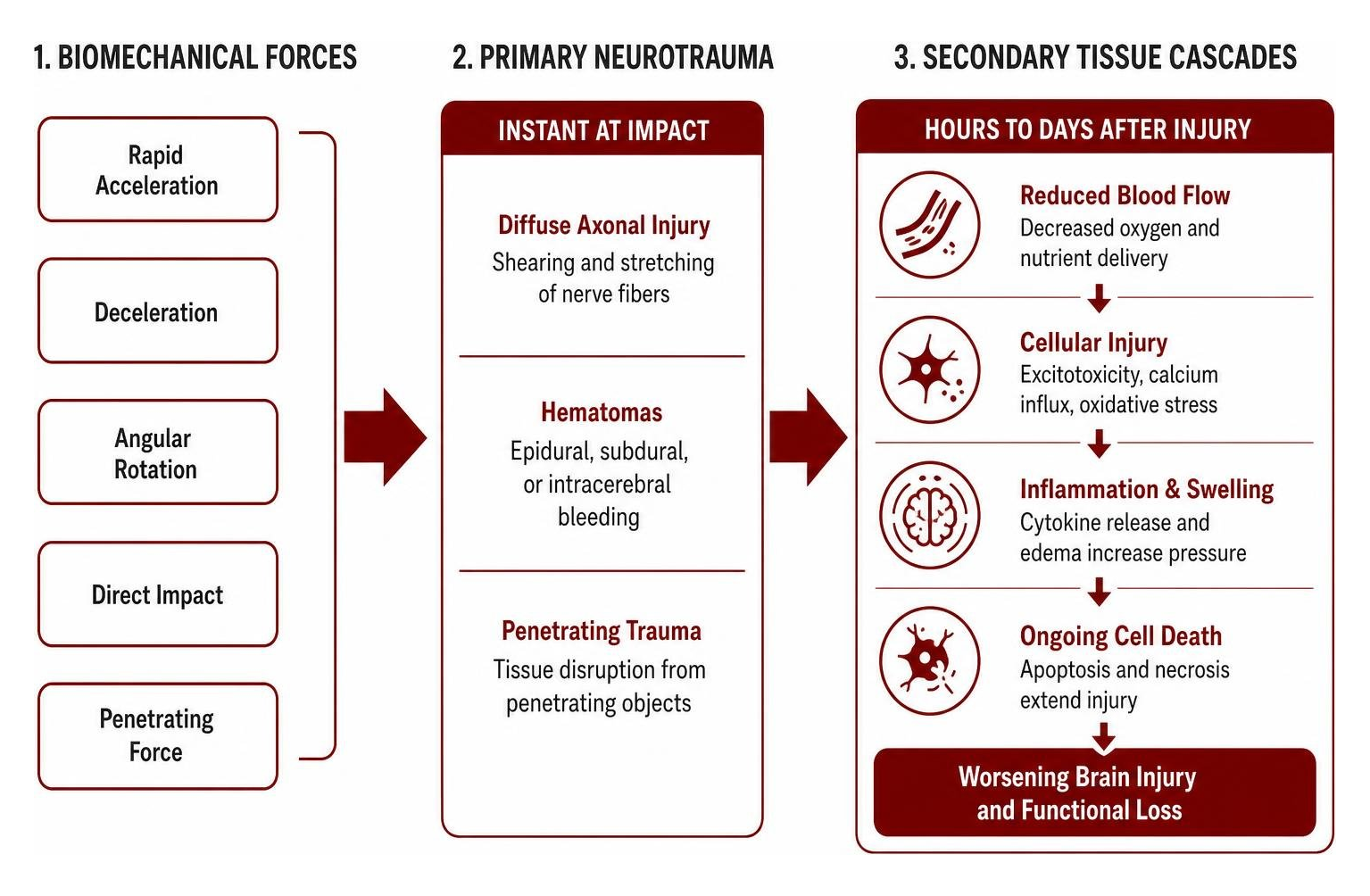 Biomechanical forces causing primary neurotrauma and secondary tissue cascades