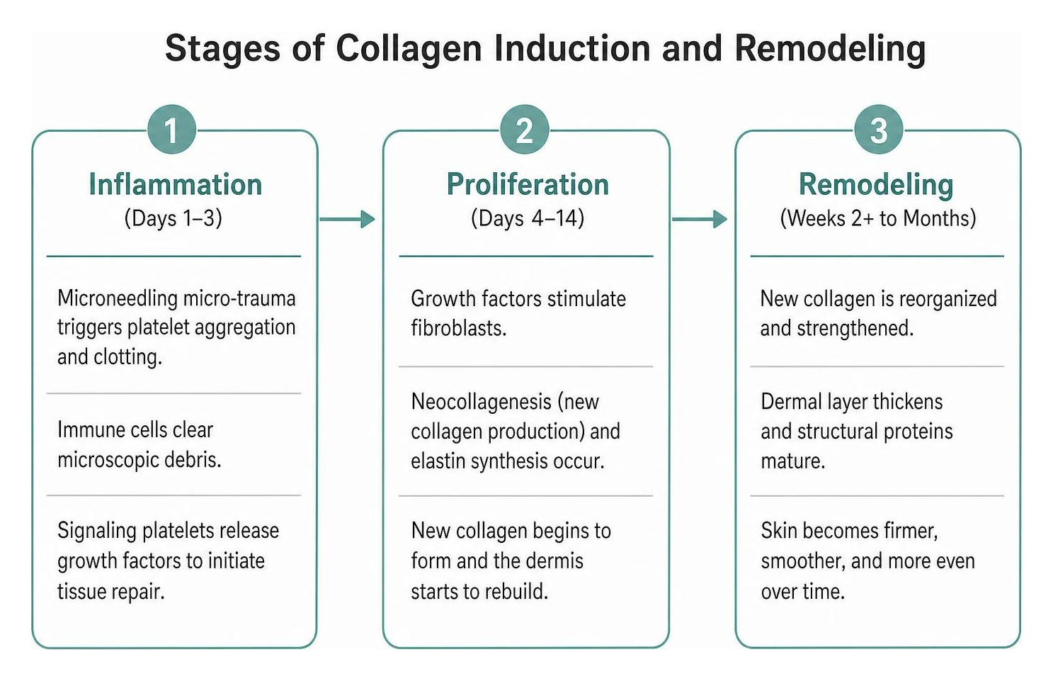 stages of collagen induction and remodeling