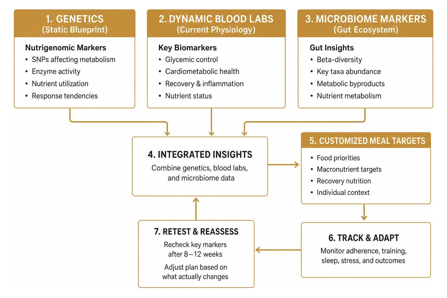 framework linking genetics, dynamic blood labs, and microbiome markers to customized meal targets