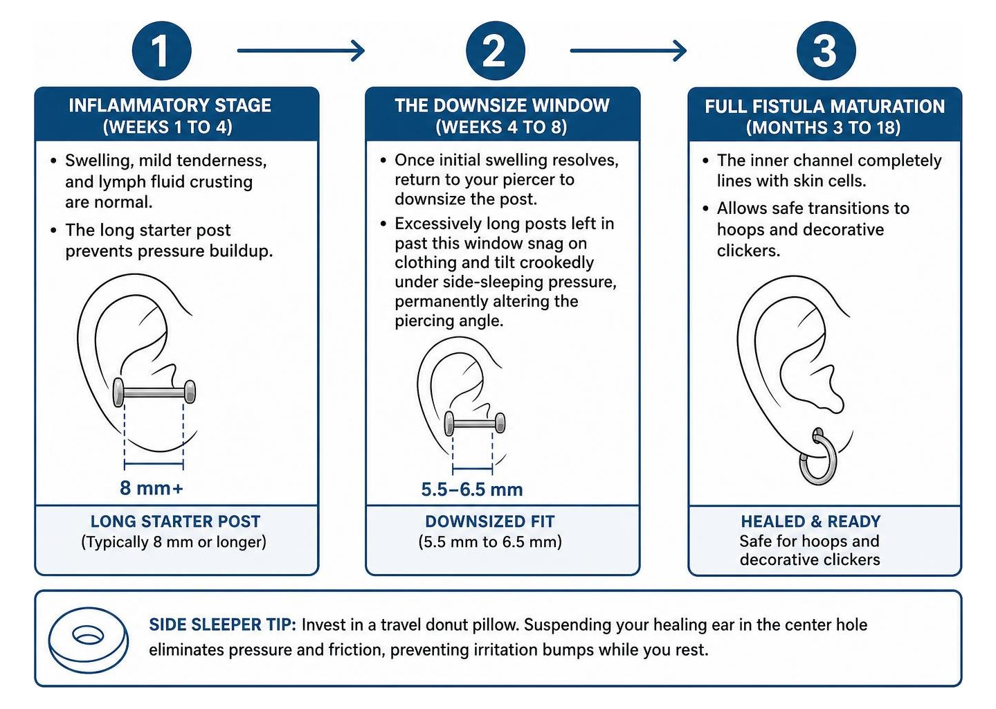 Three-step healing timeline from initial swelling post to downsized fit and final maturation Three-step healing timeline from initial swelling post to downsized fit and final maturation