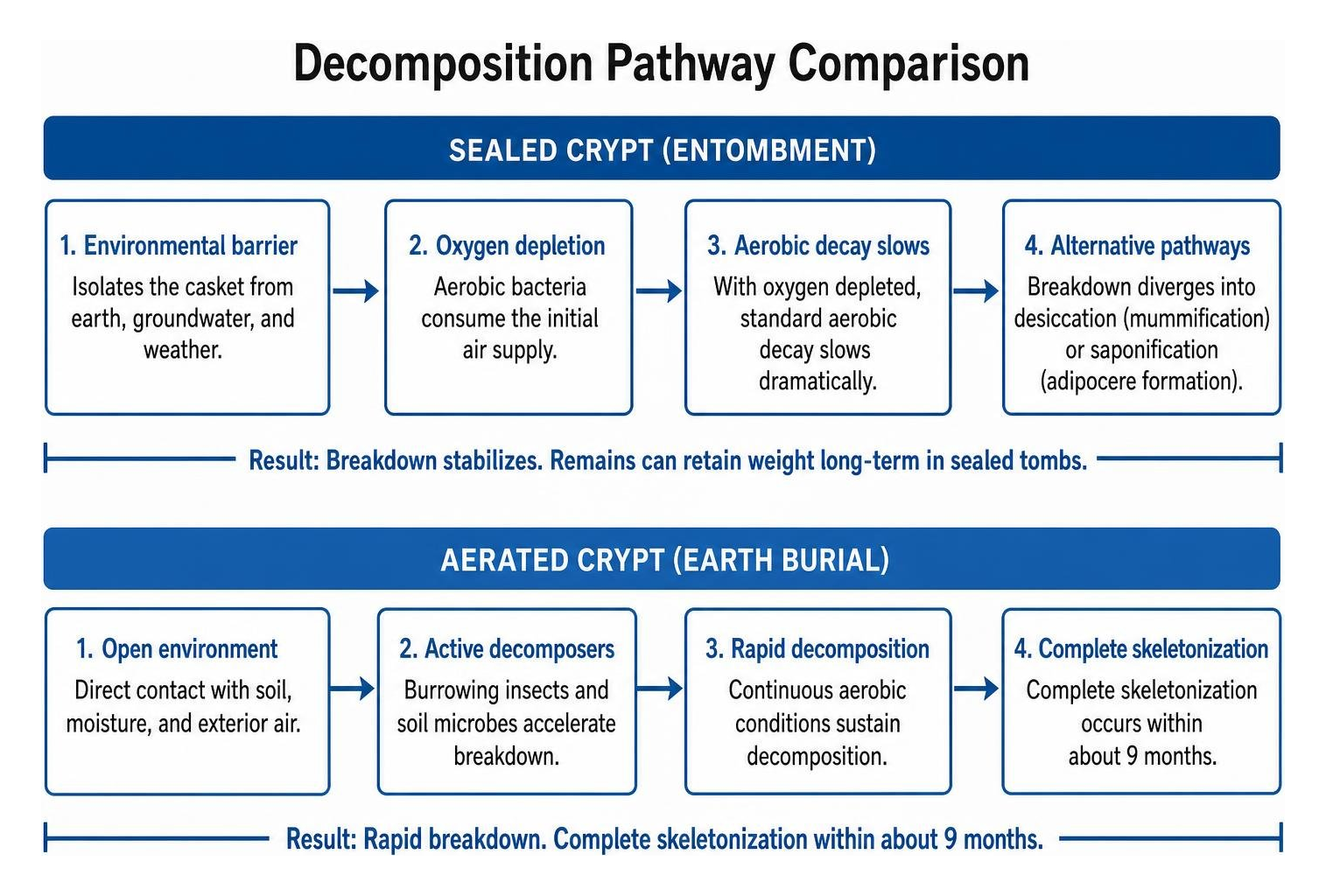 decomposition pathway comparison in sealed versus aerated crypts decomposition pathway comparison in sealed versus aerated crypts