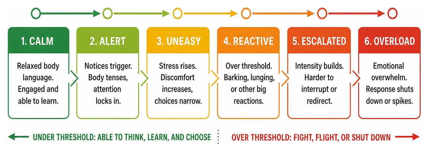 Diagram showing the progression of canine reactivity thresholds from calm to overload Diagram showing the progression of canine reactivity thresholds from calm to overload