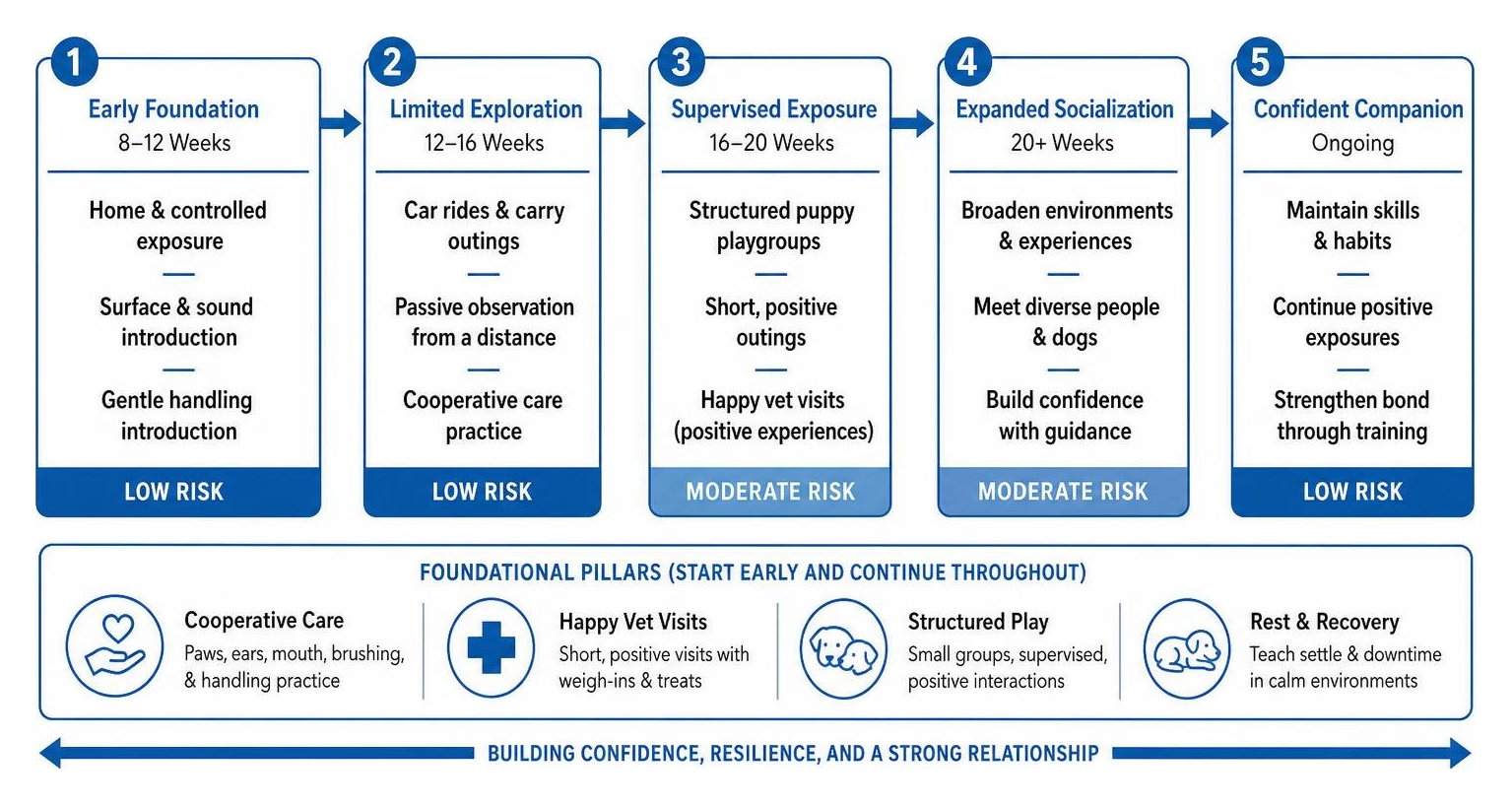 relationship based training progression diagram relationship based training progression diagram